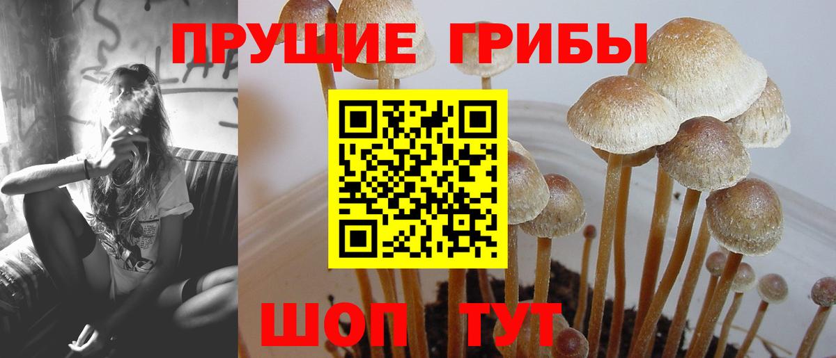 Псилоцибиновые грибы ЛСД  Псилоцибиновые грибы Psilocybe  Вход с VPN  Ирбит 