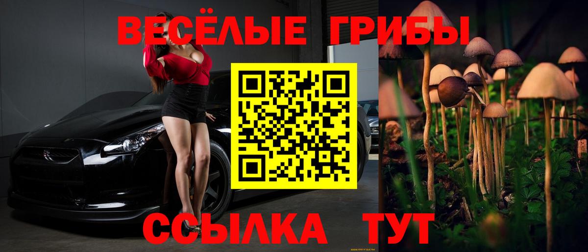 Галлюциногенные грибы Psilocybe Ирбит